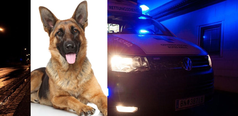 49-Jähriger wurde von einem Schäferhund gebissen, mit der Rettung ins Spital gebracht.