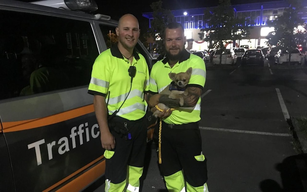 Die beiden Asfinag-Mitarbeiter Alois Hochhuber und Bernhard Becker konnten den Hund einfangen.