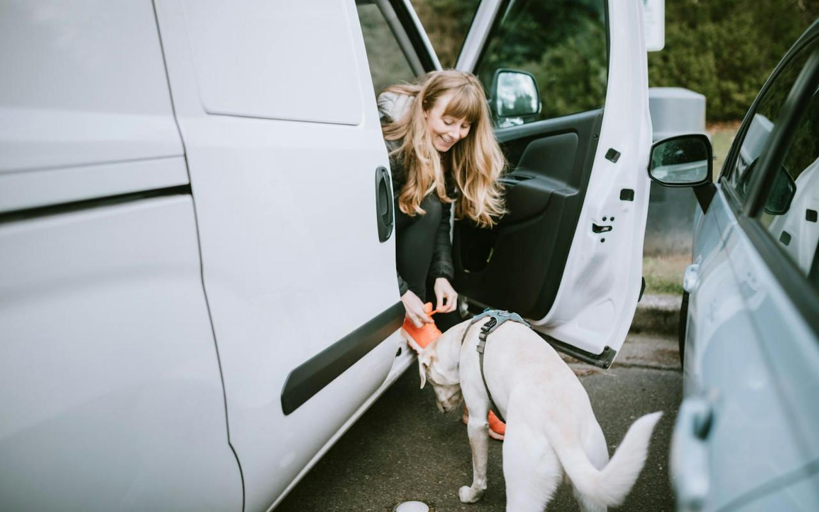 Eine junge Frau in einem Auto mit einem Hund. Symbolfoto