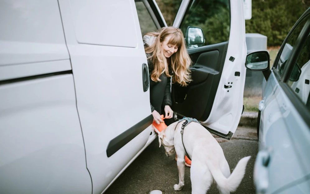 Eine junge Frau in einem Auto mit einem Hund. Symbolfoto