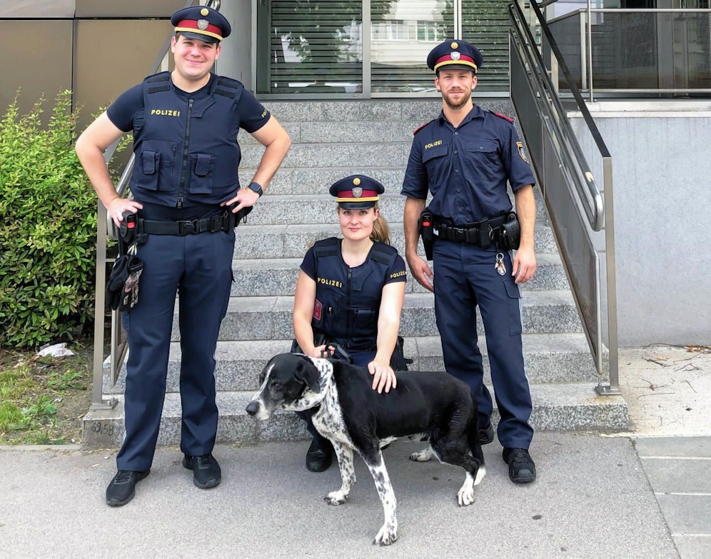 Der Vierbeiner und seine drei Retter von der Polizeiinspektion Lehmanngasse