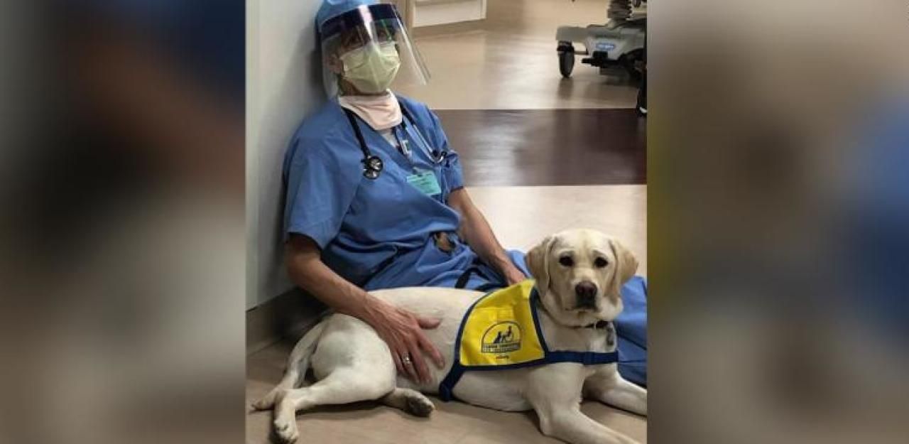 Heute.at - Susan und Wynn stehen für die Corona-Krise der USA