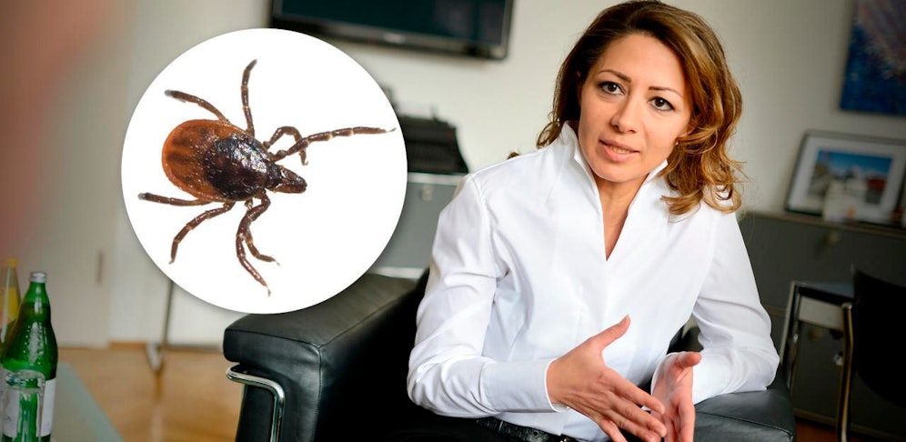 Dr. Kamaleyan-Schmied bleibt gelassen: "Man stirbt nicht gleich an einem Zeckenstich."