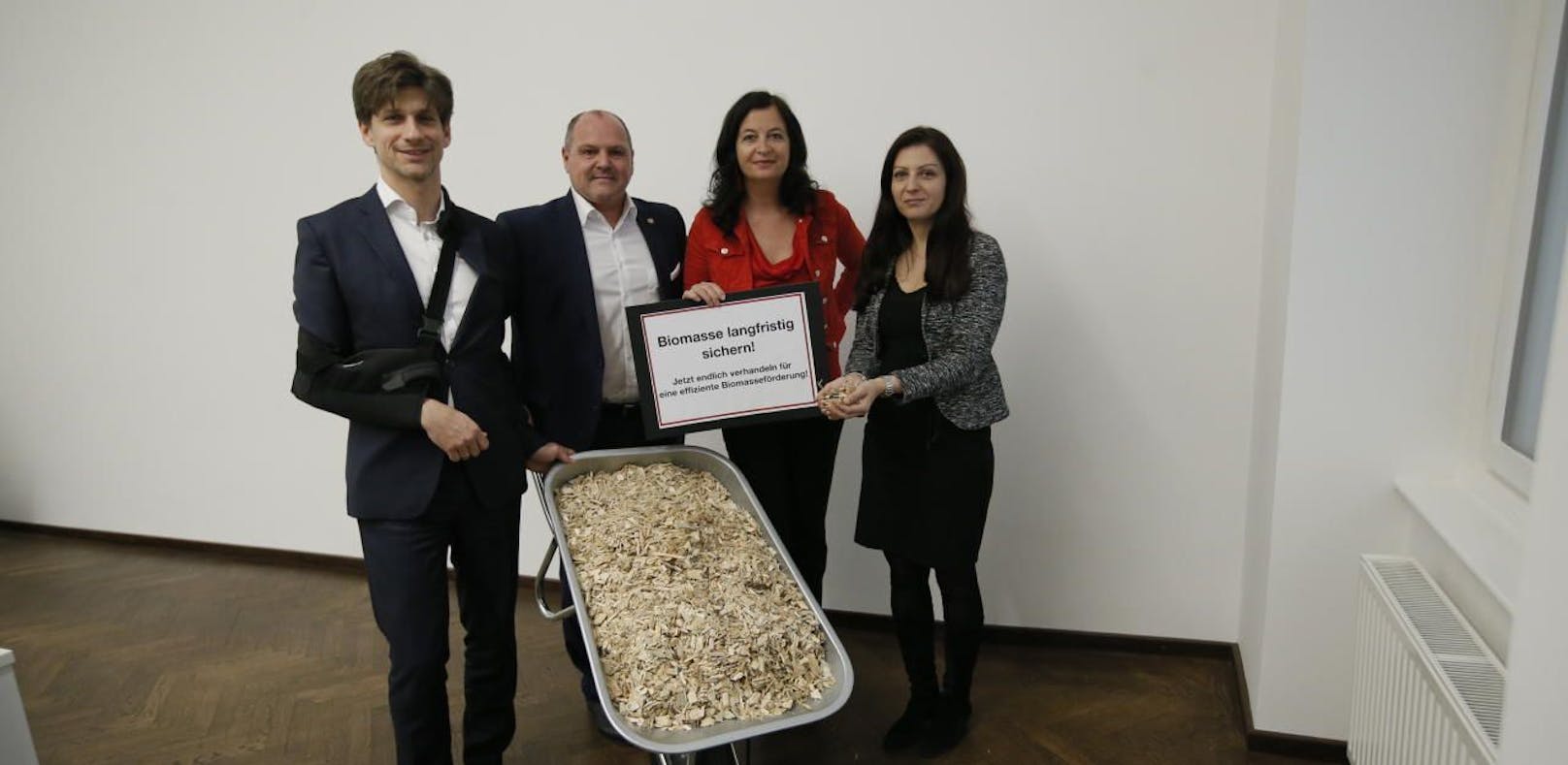 SPÖ gegen Husch-Pfusch-Gesetz zu Biomasse