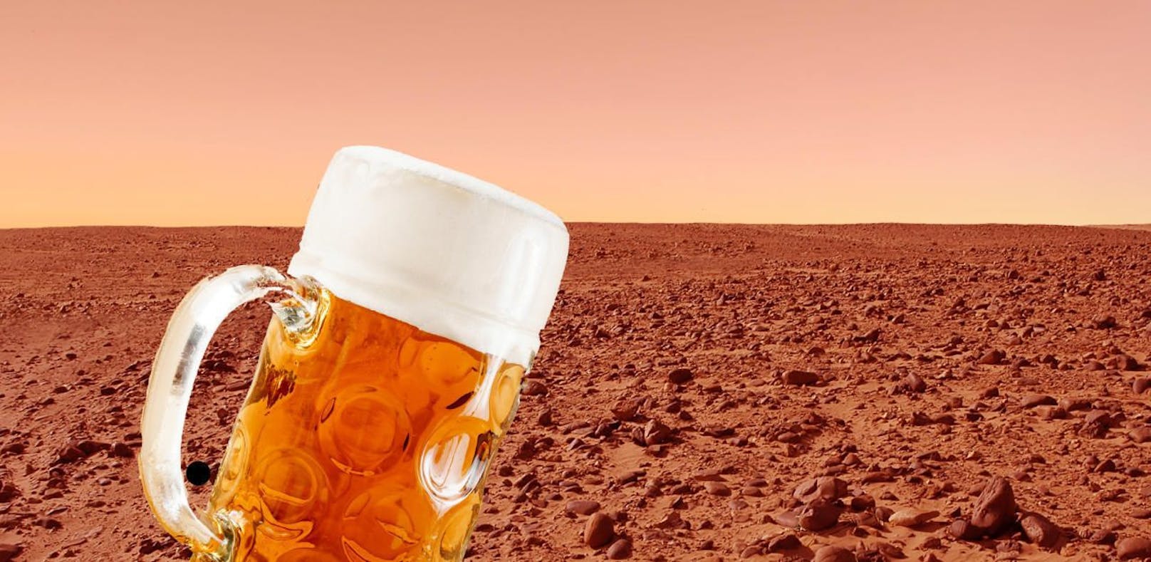Gibt es bald das erste Bier vom Mars?