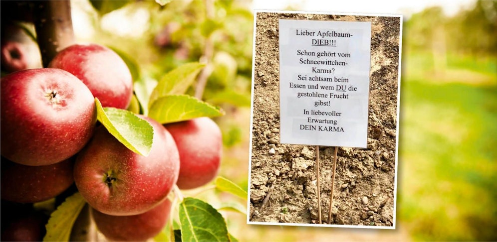 Mit diesem Brief machte sich der Besitzer des Apfelbäumchens Luft