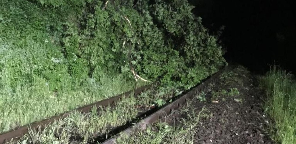 Der Baum krachte auf die Gleise und versperrte die Zugstrecke