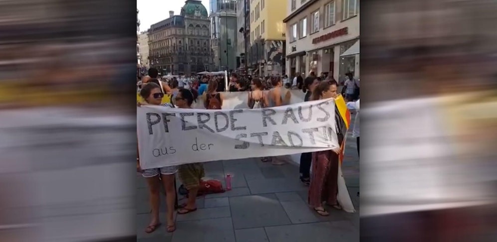 Der VGT fordert strengere Kontrollen.