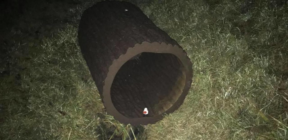 Dieses 2 Kilogramm schwere Monstrum von einem Baum lag auf der Straße.