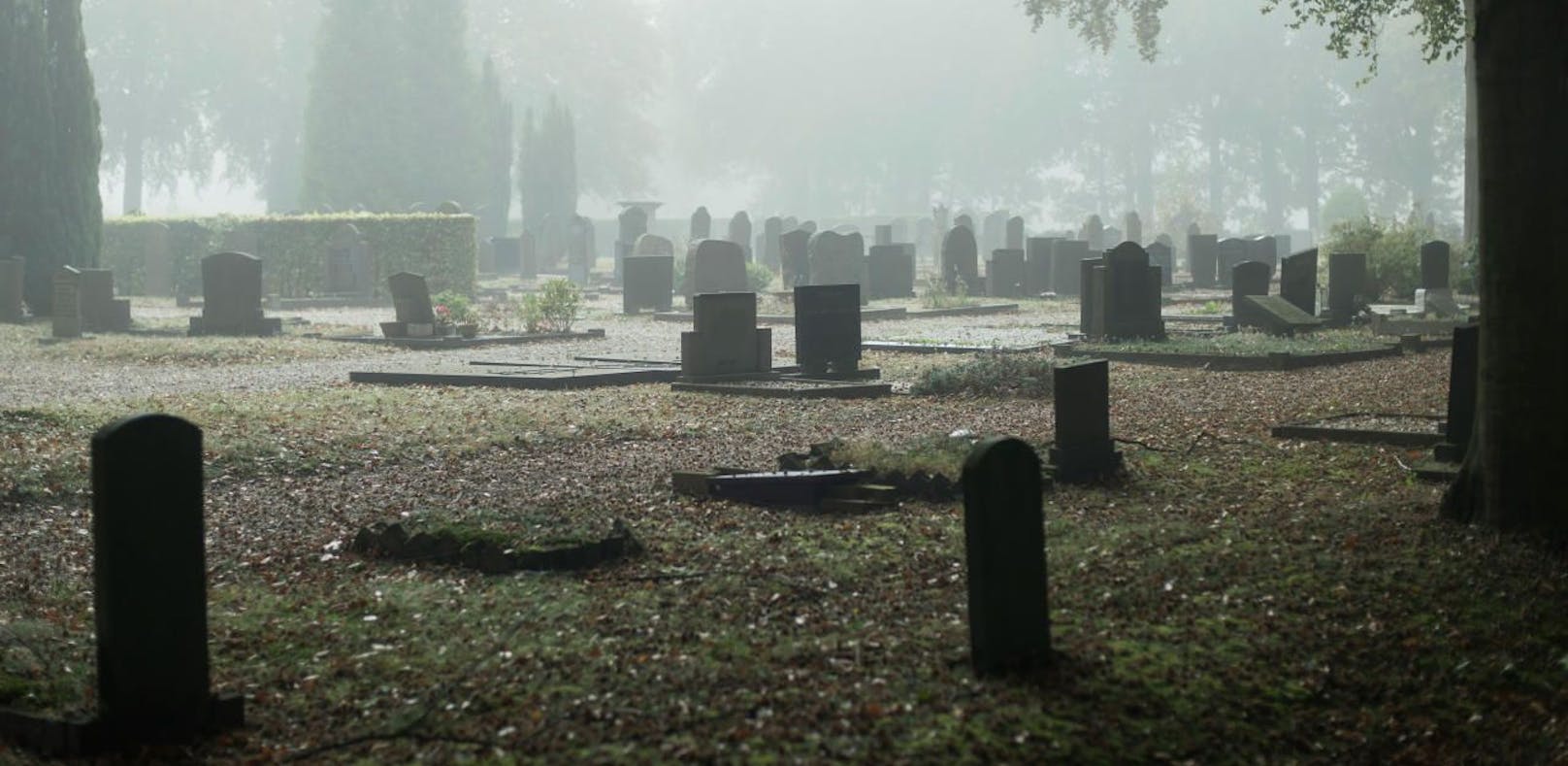 Der Mann brachte sein Opfer auf einen Friedhof, dort warteten seine beiden Kumpels