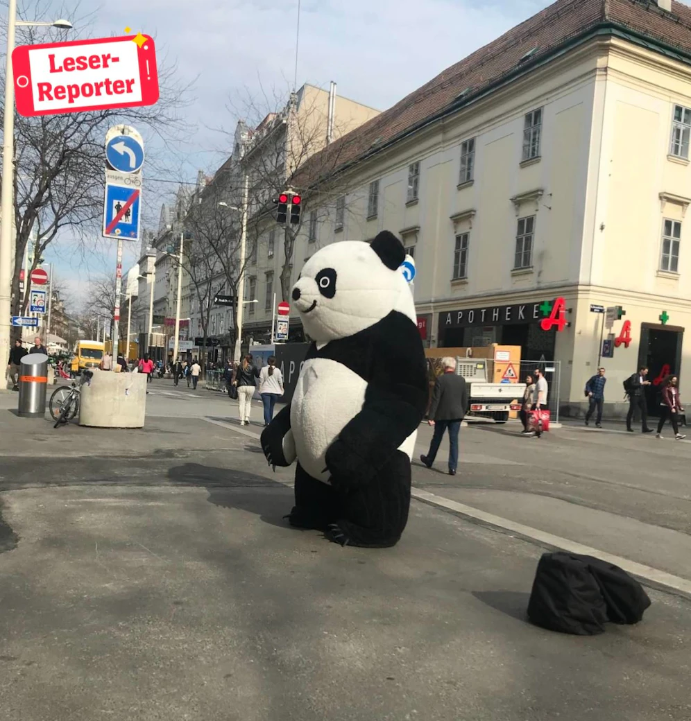 Der Panda sorgte für Grinser auf der Mahü.