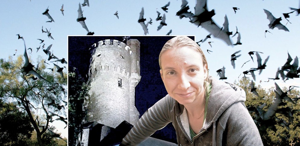 Zusammen mit Naturschutzbund-Mitarbeiterin Julia Kropfberger machte sich "Heute" auf die Suche nach Fledermäusen am Linzer Freinberg. 