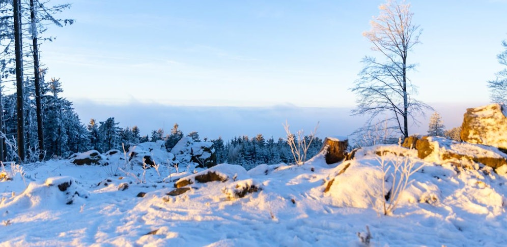 Am Samstag soll es im Mühlviertel bis auf 500 Meter schneien. Gut möglich, dass die Gis bald wieder so aussieht, wie auf diesem Foto. 
