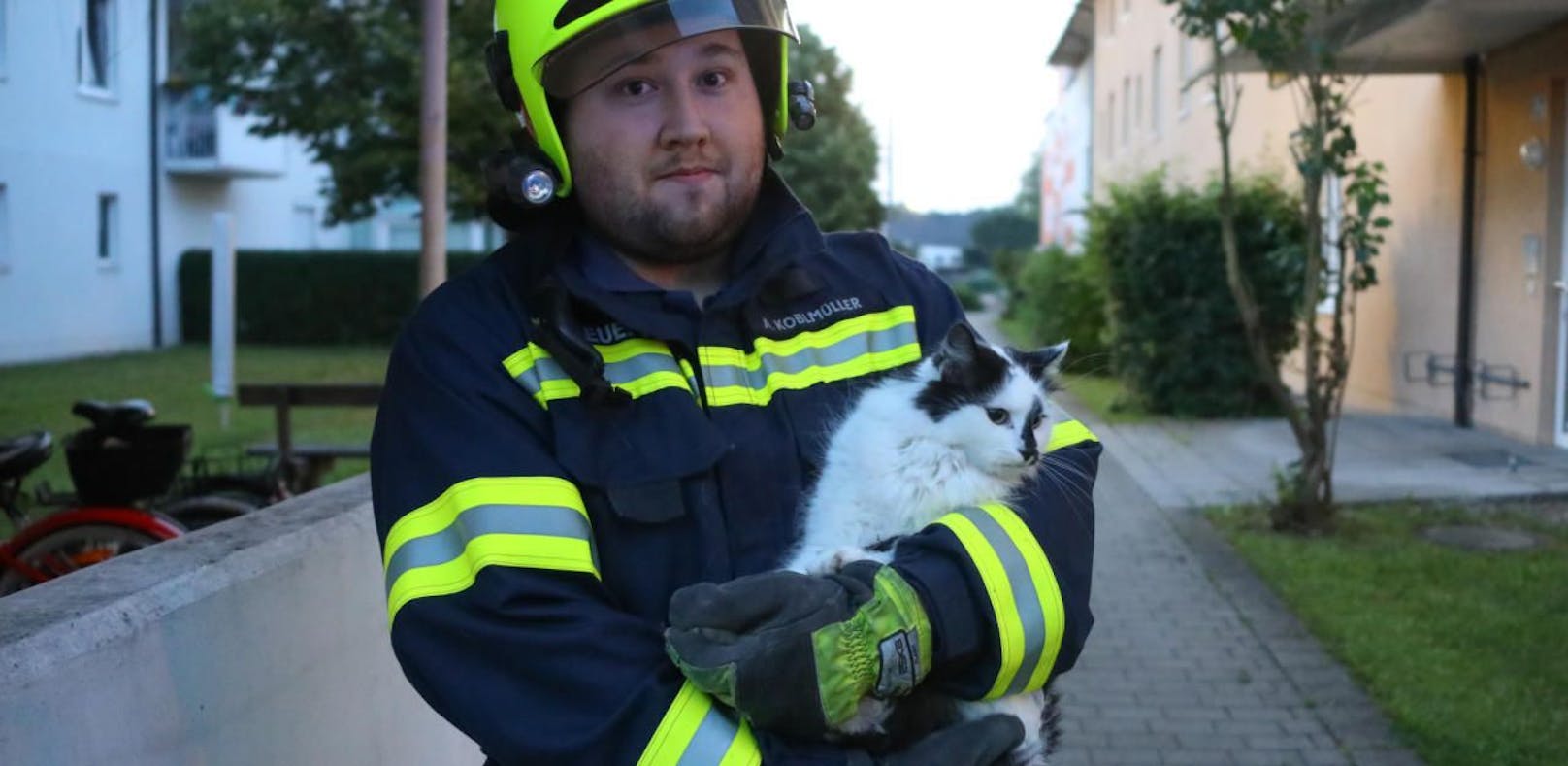 Die Katze steckte im Fenster fest, wurde von der Feuerwehr gerettet.