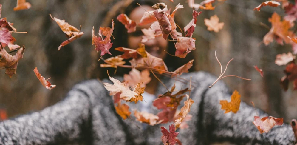 Wie erleben Sie den Herbstbeginn? Zeigen Sie es uns per Foto-Upload!