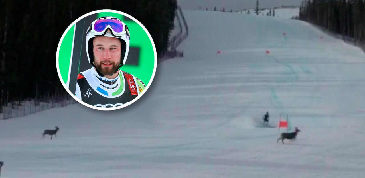 Heute.at - Reh-Schock für Abfahrer beim Kanada-Training