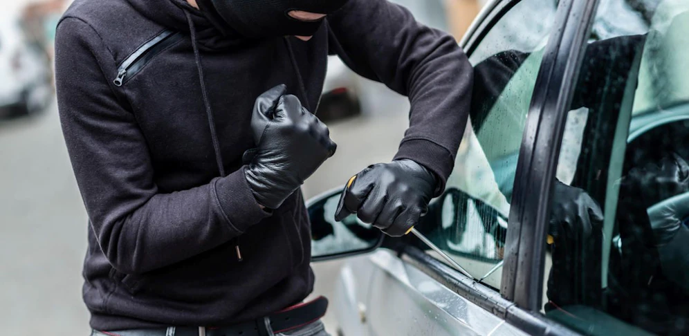 Die Polizei schnappte den Pkw-Einbrecher