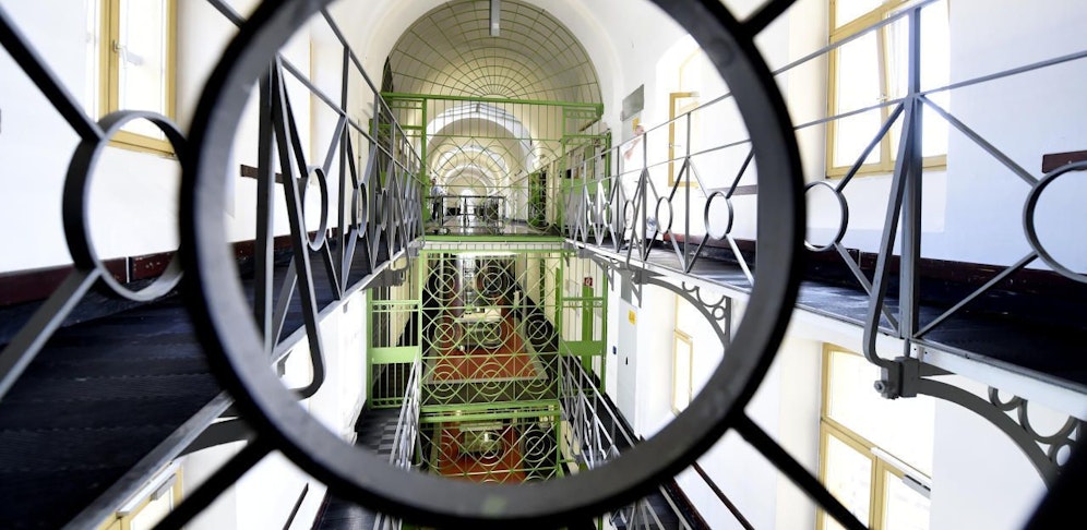 Zwei Häfltinge in Krems-Stein infiziert.