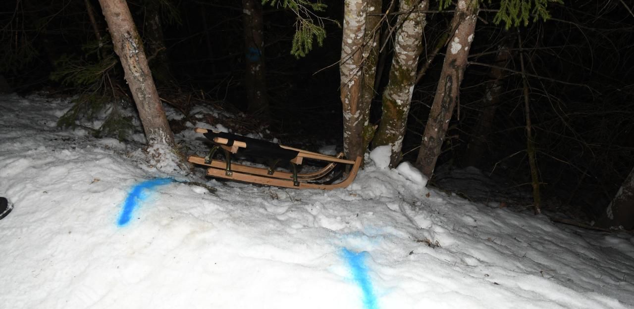 20-Jähriger prallt mit Rodel gegen Baum – tot - Tirol | heute.at
