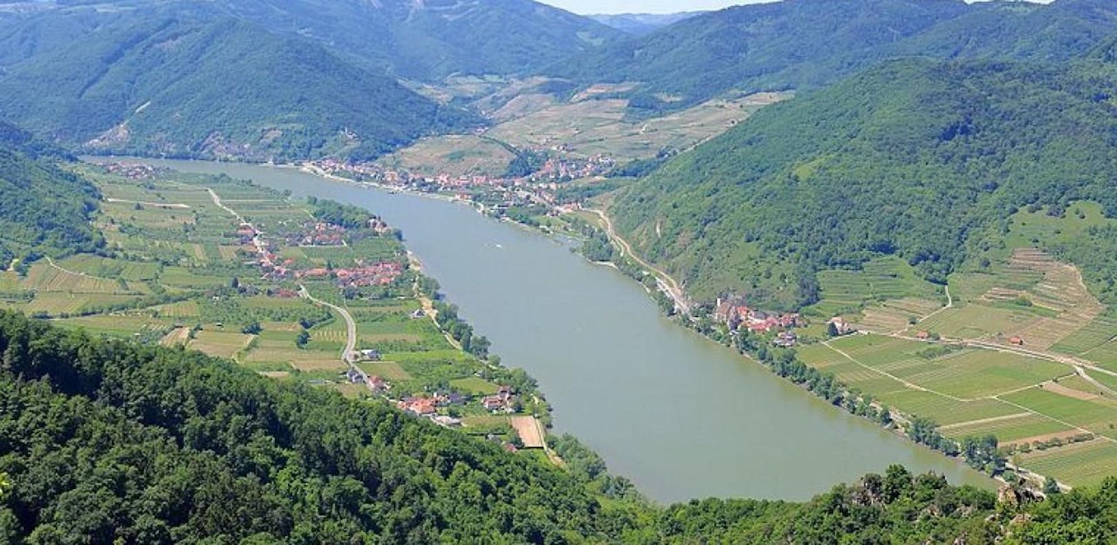Die Donau bei Spitz