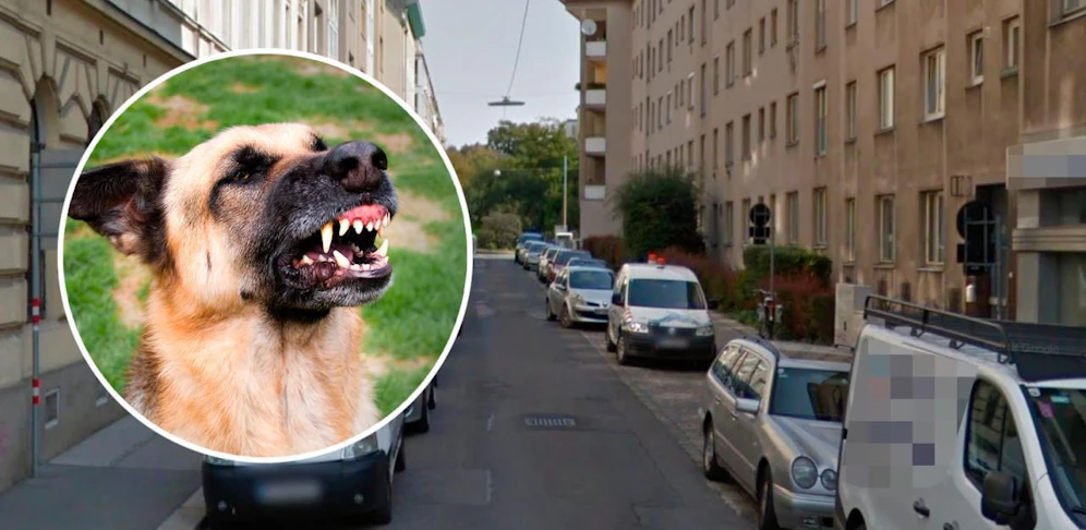 (Symbolbild/Montage)