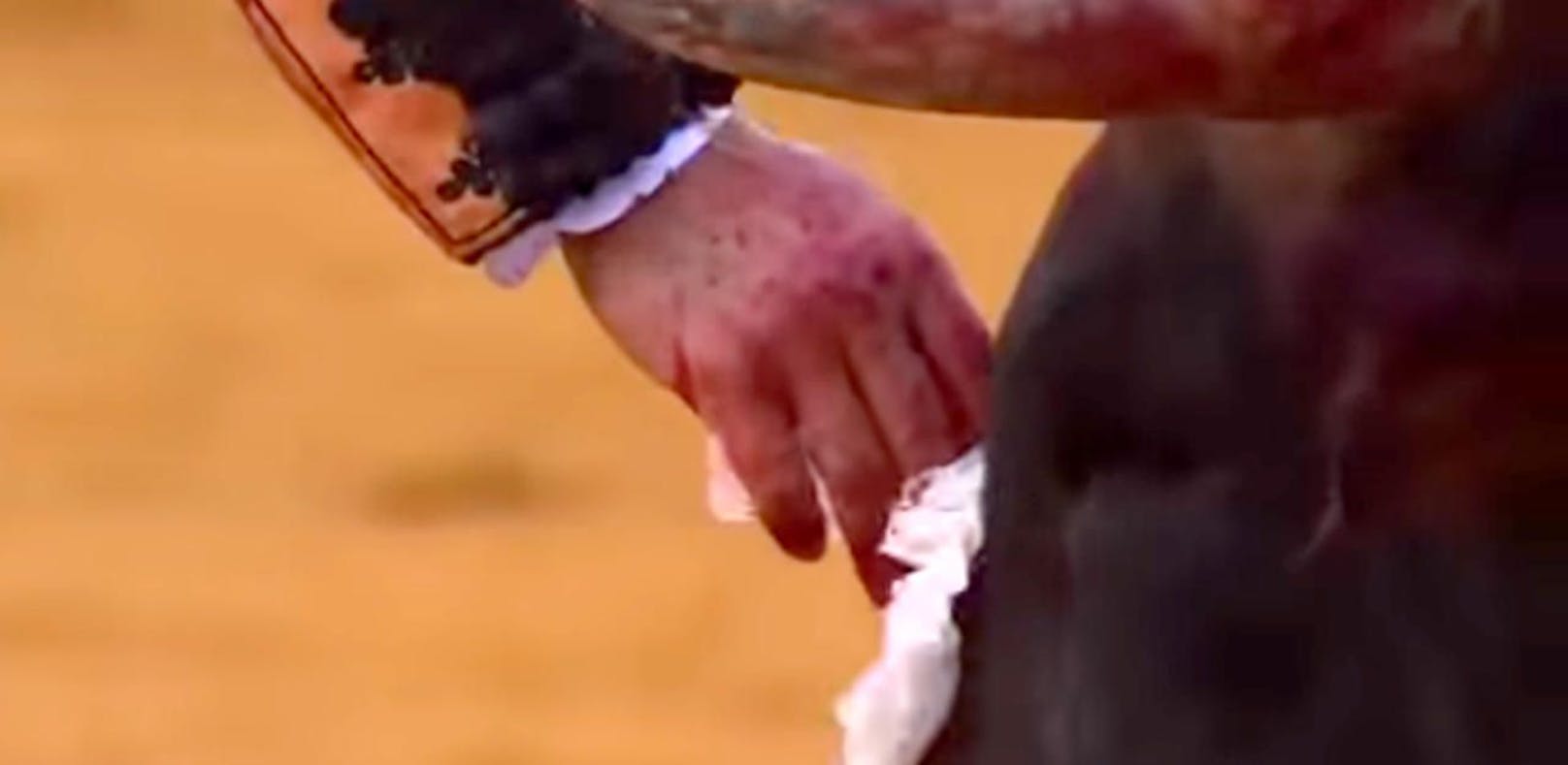 Matador trocknet leidendem Stier die Tränen