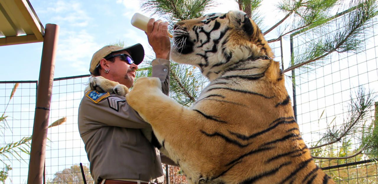 "Tiger King": Warum alle  über die Serie sprechen - TV | heute.at