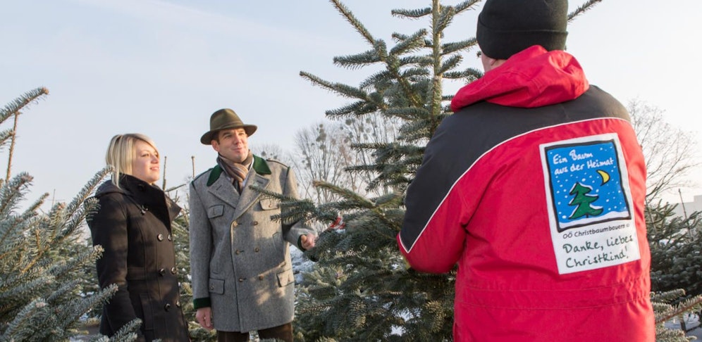 Heute verlost mit den oö. Christbaumbauern 10 Christbäume.