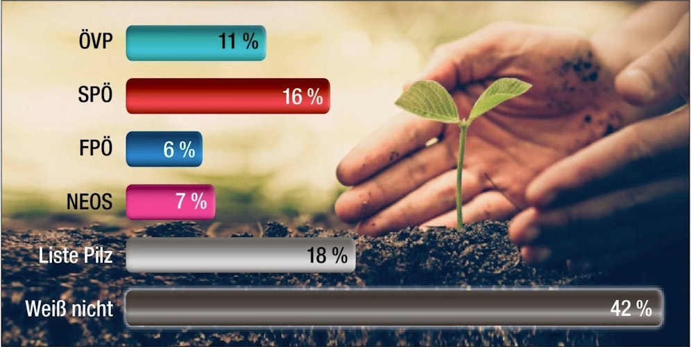 Eine relative Mehrheit sieht die grünen Kernkompetenzen bei keiner anderen Partei.