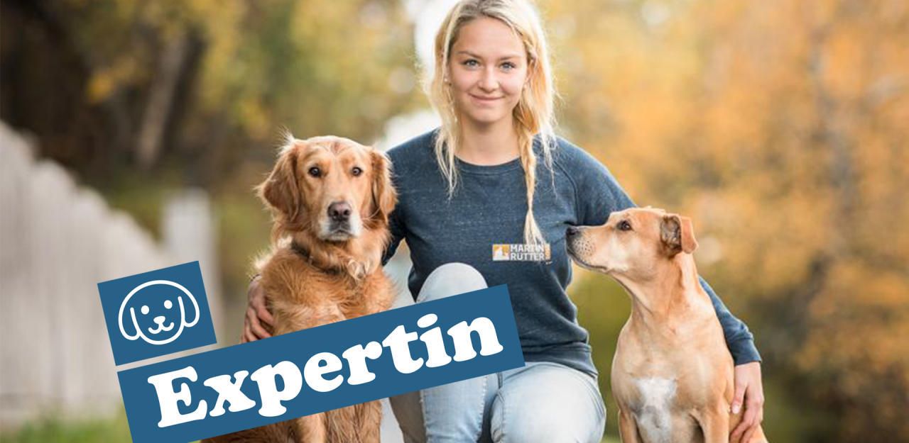Heute.at - Karin Engleitner von Martin Rütter Dogs Wien