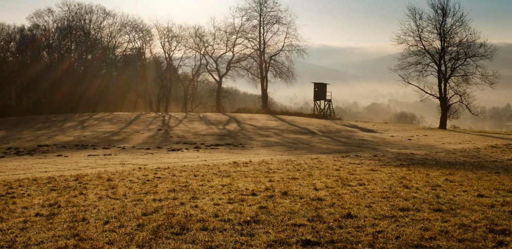 Der Jäger feuerte von einem Jägerhochstand aus. (Symbolbild)
