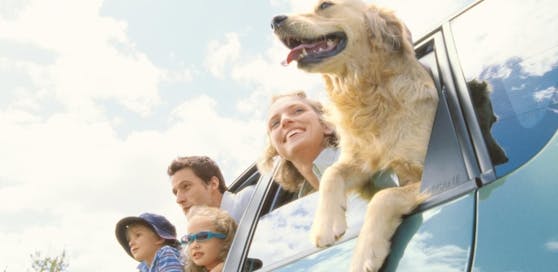 Urlaub mit Hund - hier geht das ganz leicht!