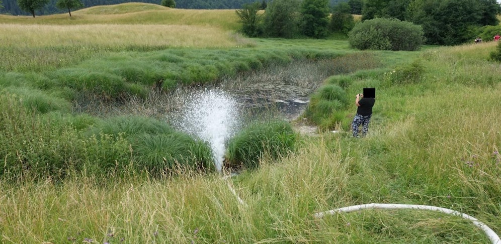 Die Feuerwehr musste am Samstag in Bad Ischl einen Teich bewässern und rettete so mehreren hundert Fischen das Leben.                              