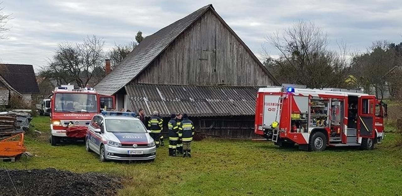 Heute.at - Steirer will Katze begraben und wird dabei getötet