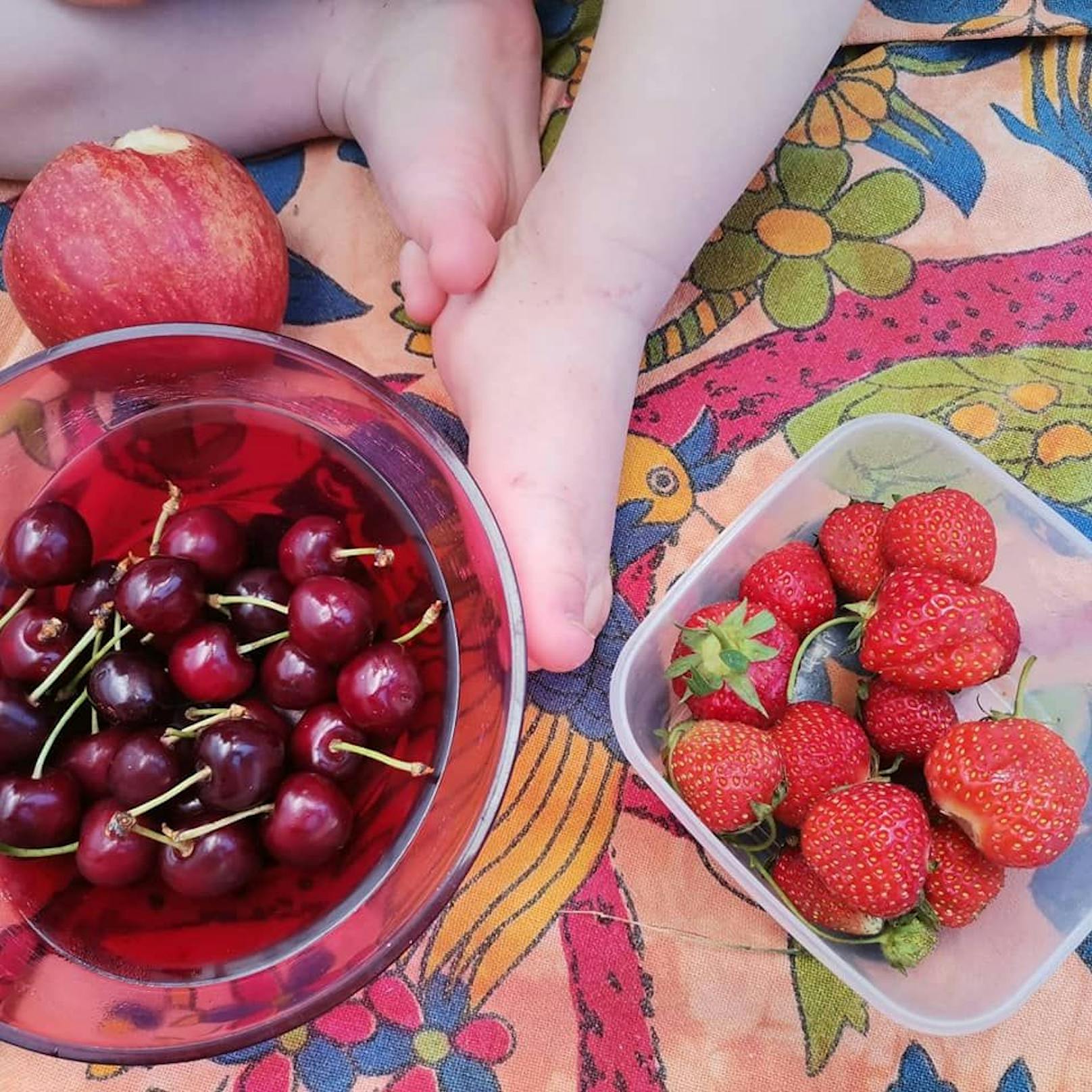 Derzeit kommen Erdbeeren und Kirschen auf den Tisch.