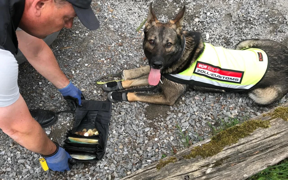 Zoll-Hund Lennox hat Geld gefunden!
