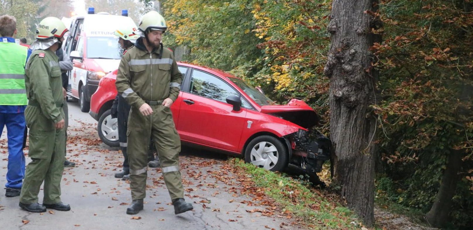 Lenker bei Crash gegen Kastanienbaum verletzt