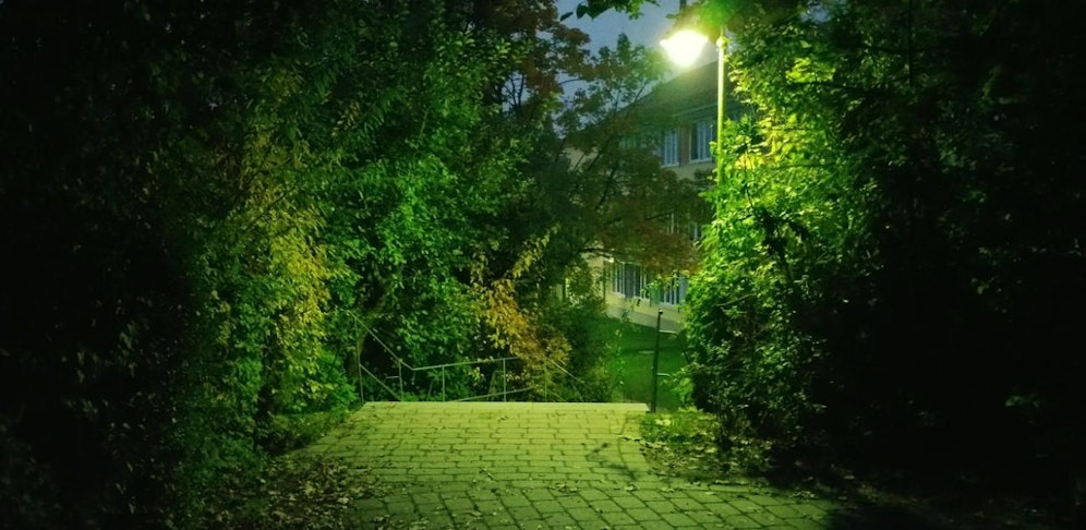 Die beiden Burschen fielen auf offener Straße über die 14-Jährige her