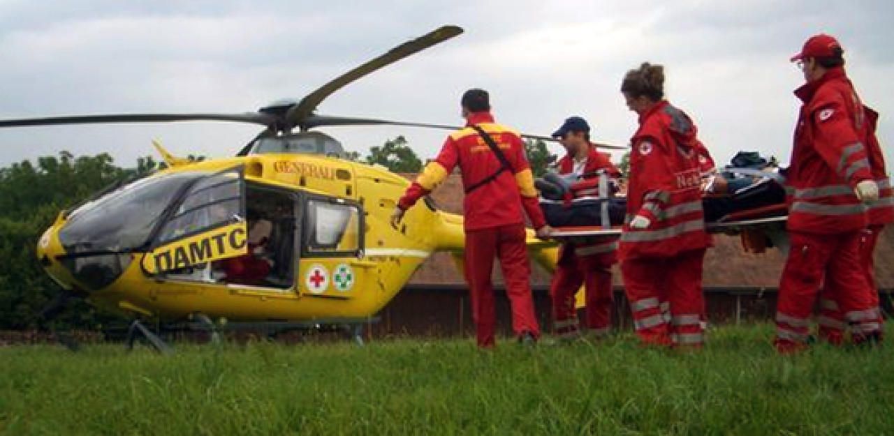 Heute.at - C2 im Einsatz: Baum verletzt Mann (55) schwer