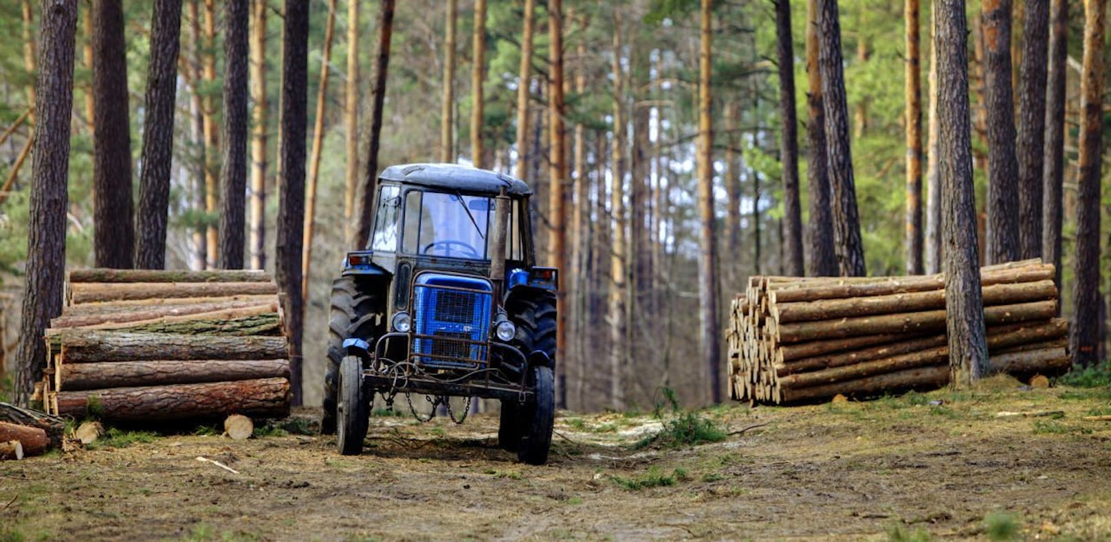 Symbolfoto eines Traktors im Wald.