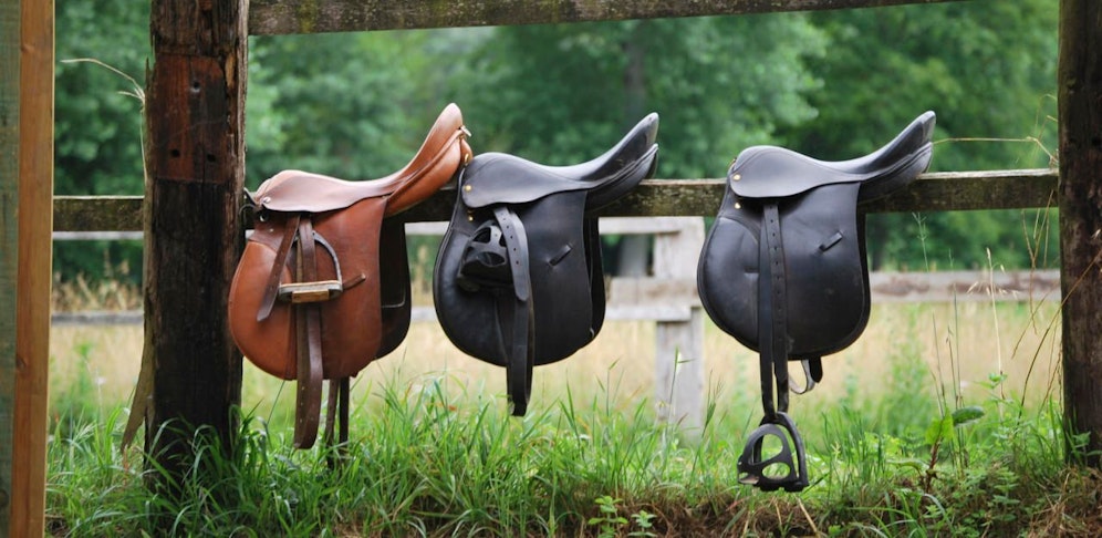 Diebstahl von über einem Dutzend Reitsättel im Bezirk Mistelbach.