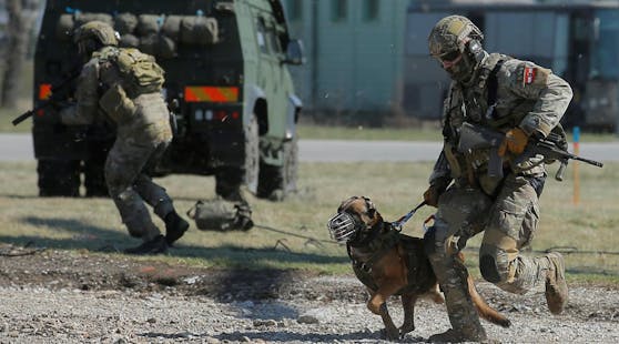 Soldaten des österreichischen Jagdkommandos bei einer Übung mit Hunden