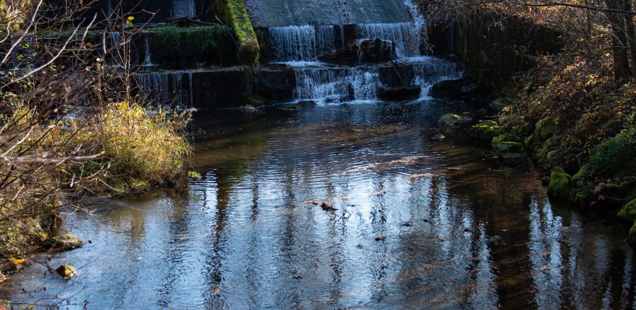 Heute.at - Rätsel um Leiche eines jungen Mannes in Bach