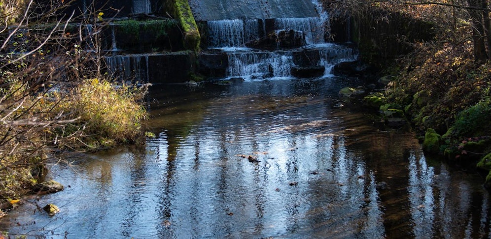Die Leiche des jungen Mannes wurde in diesem Bach entdeckt.