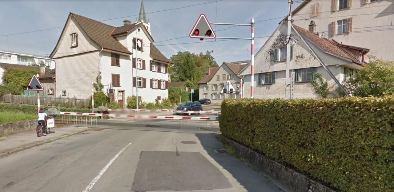 Heute.at - Hunde sprangen Vollgas gegen fahrenden Zug