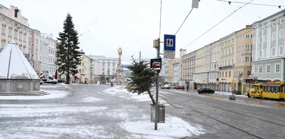 So geht Christbaumentsorgung nicht! Auch heuer holt die LinzAG die Bäume vor der Haustüre ab. 