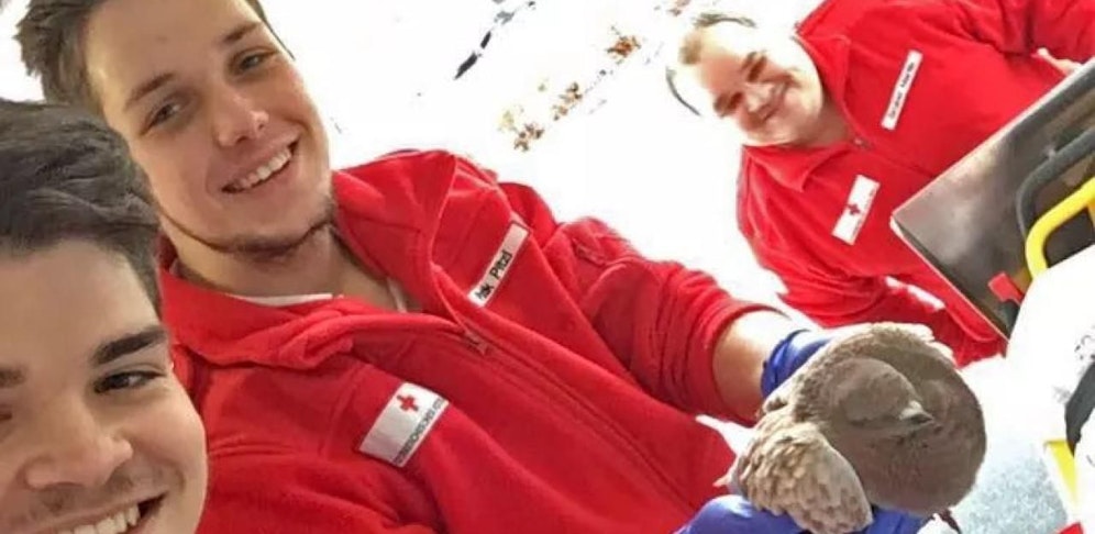 Die Retter vom Roten Kreuz mit der verletzten Taube.