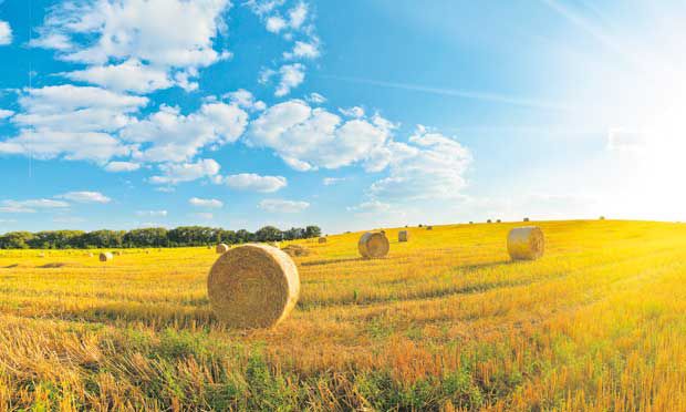 Kürzere Transportwege durch regionale Produkte - die Landwirtschaftskammer will durch heimische Lebensmittel das Klima schützen.