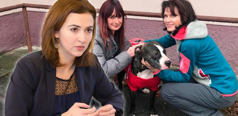 Justizministerin Alma Zadic soll in Hundecausa Gnade walten lassen, bitten Alexandra G. und Anwältin Astrid Wagner.