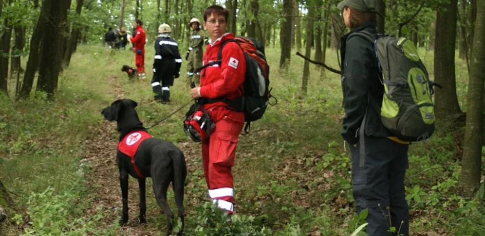 Auch eine Hundestaffel wurde für die Suchaktion im Waldviertel angefordert.